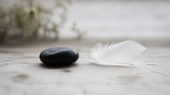 Comparatif des profils Yin et Yang selon votre signe chinois